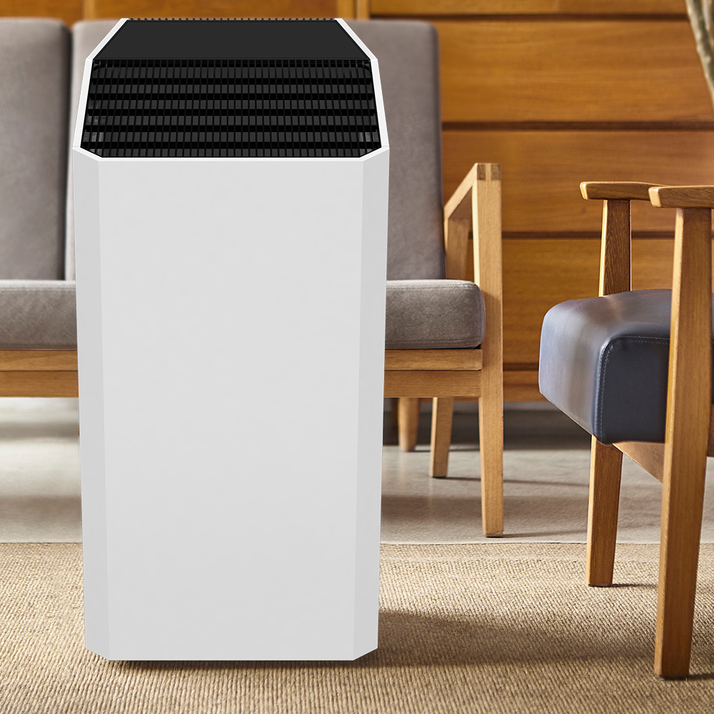 ホルムアルデヒドを最適に除去し、新鮮な空気をほとんどBKJ-90Cをお楽しみください