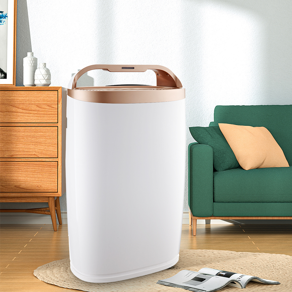 ホルムアルデヒドを最適に除去し、新鮮な空気をほとんどBKJ-306Aをお楽しみください